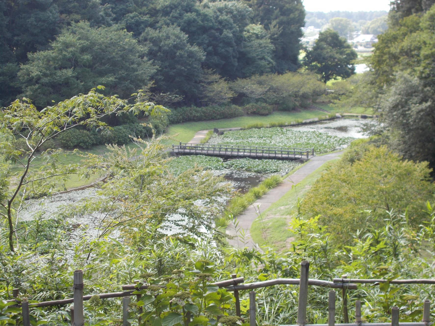 見晴らし台からの池