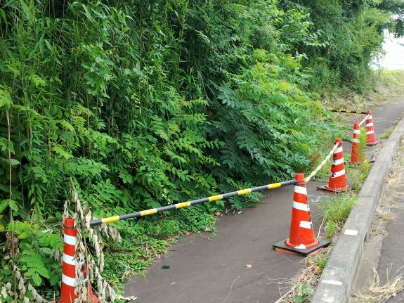 雑草繁茂事例2_写真