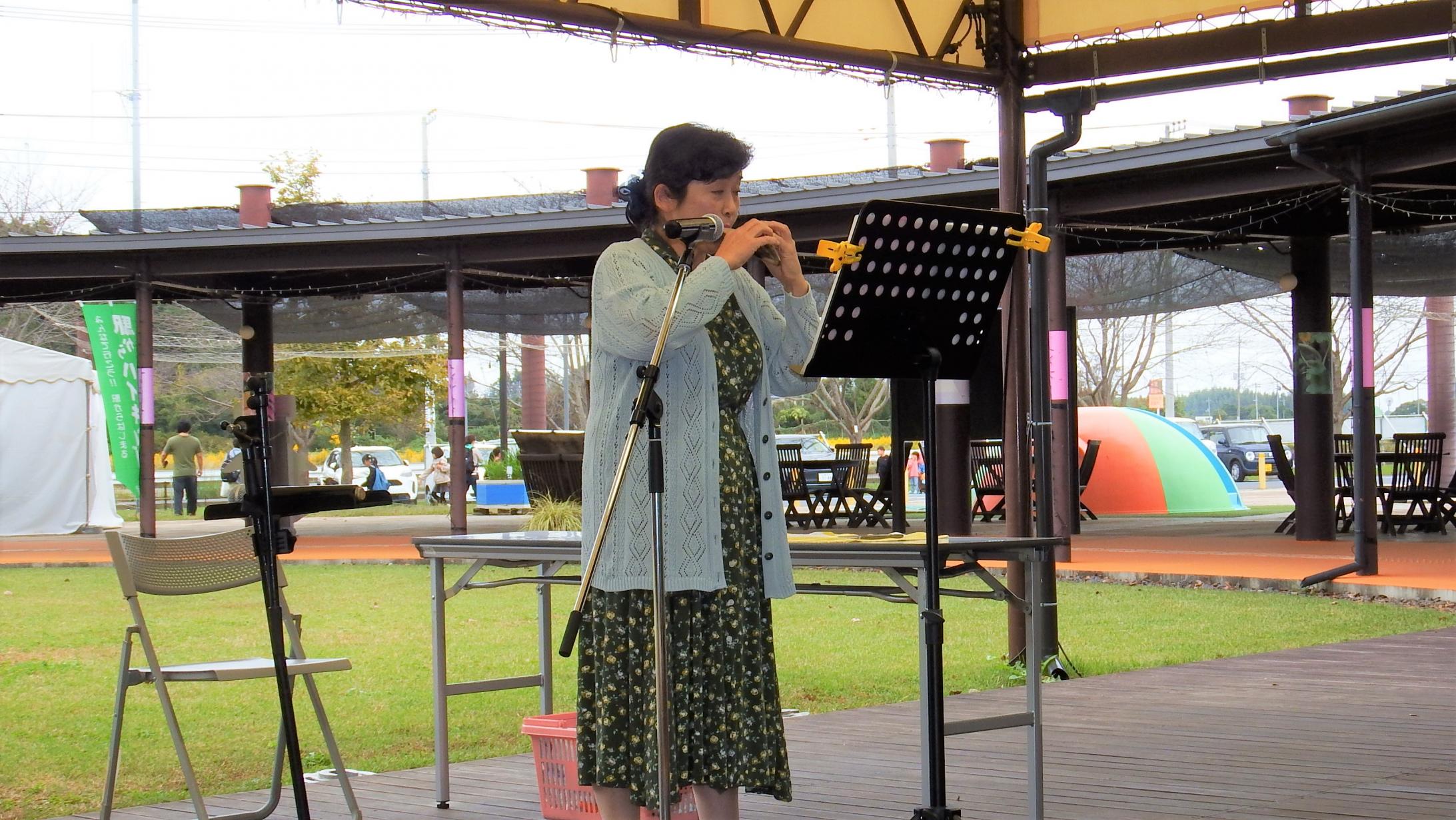 もみの樹アダチ4146 もみの樹アダチ4146