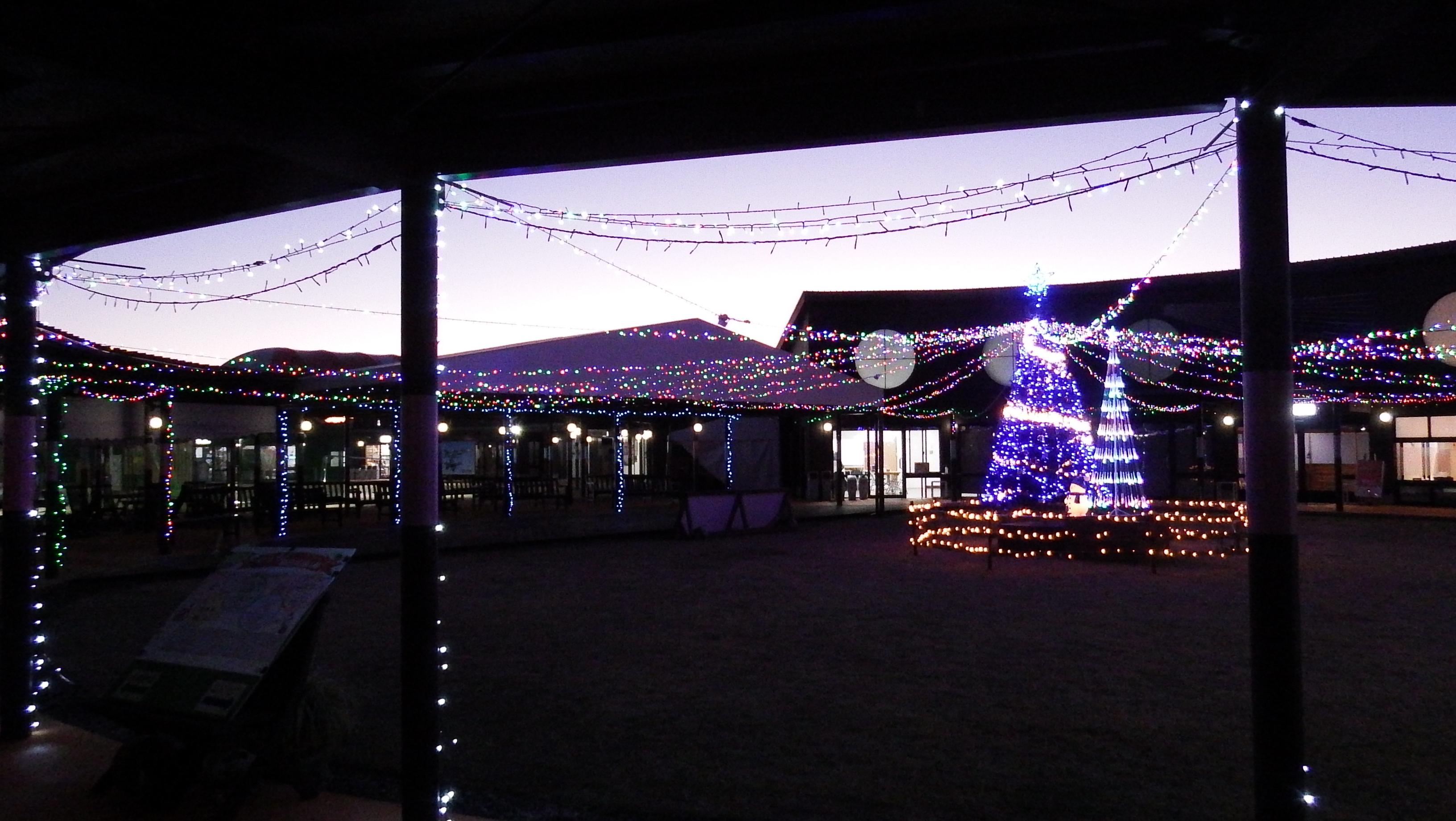 ★DSCF5121 ★DSCF5121