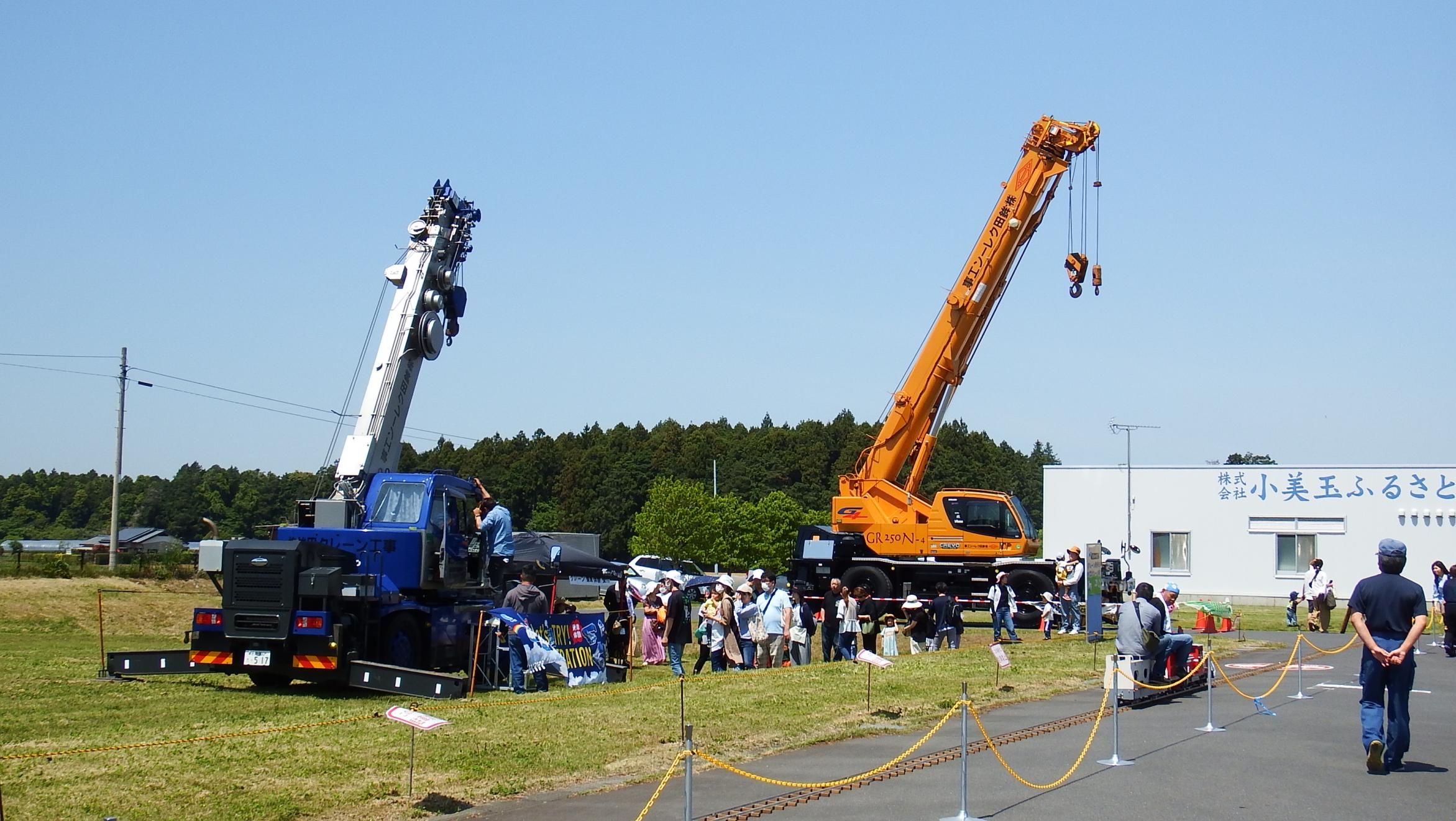 クレーンズ写真 クレーンズ写真