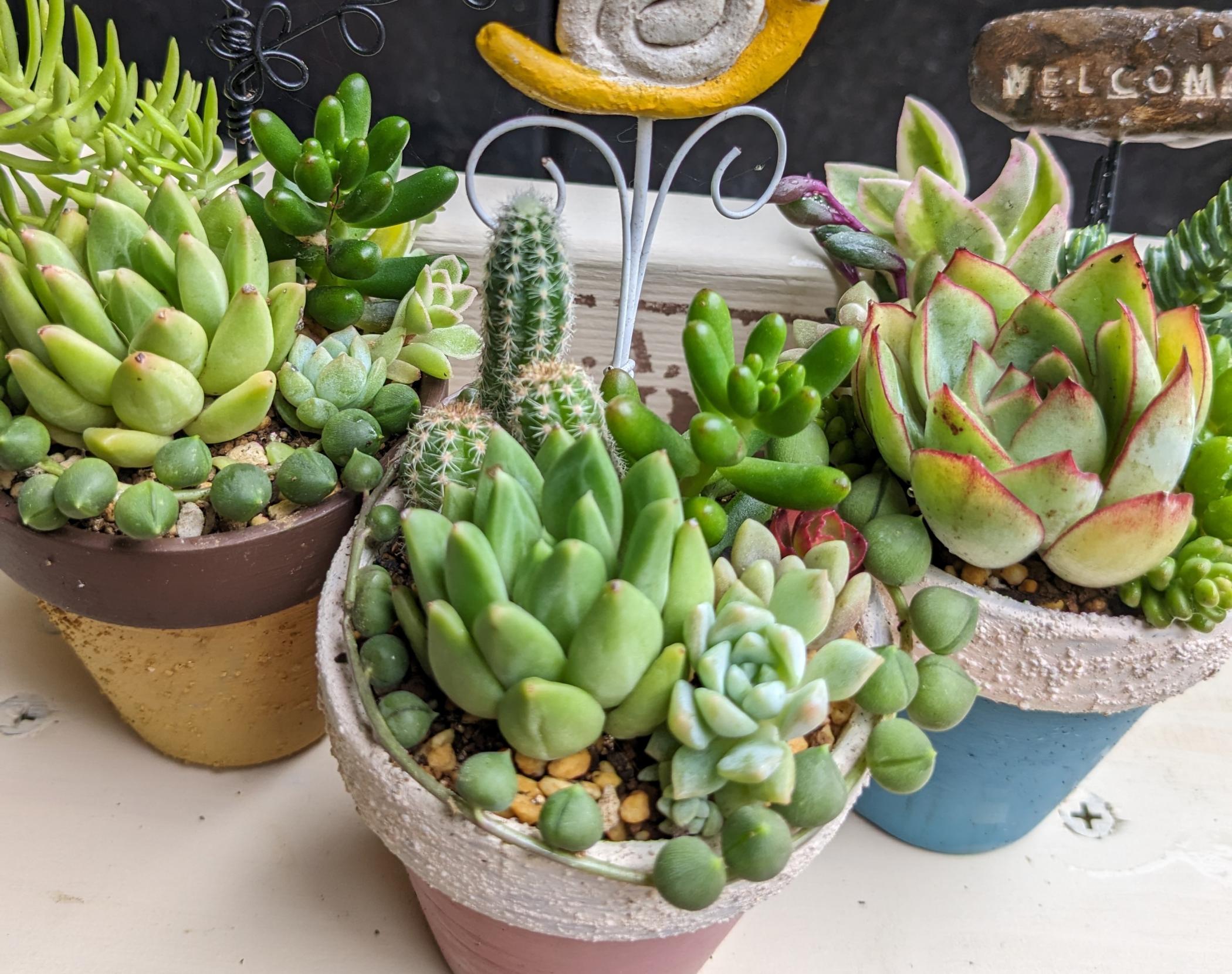 体験教室サキュレントハウス写真 体験教室サキュレントハウス写真