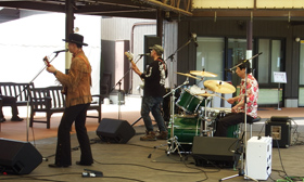 ブルース・ブリスターズ ブルース・ブリスターズ