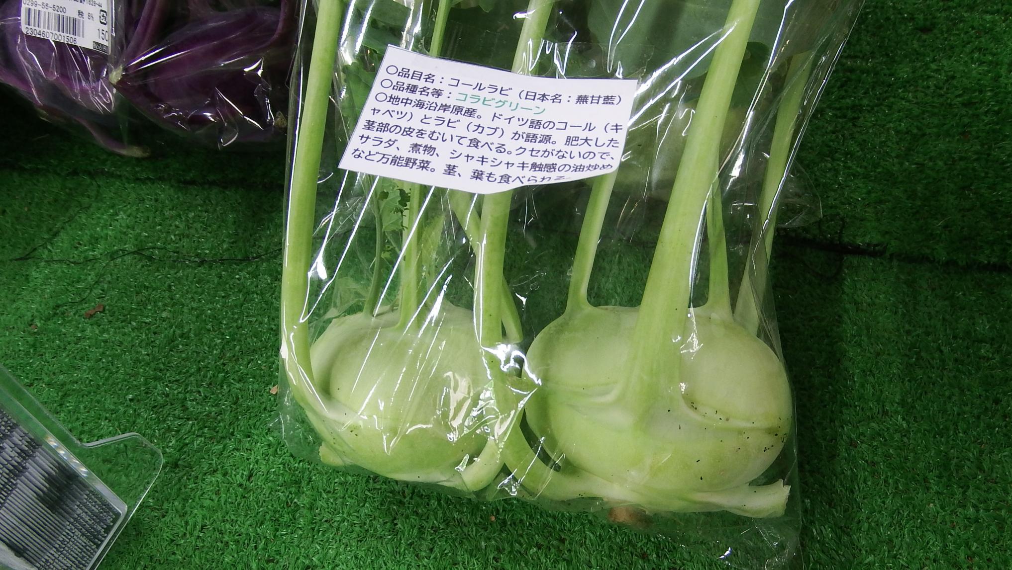 コールラビ写真 コールラビ写真