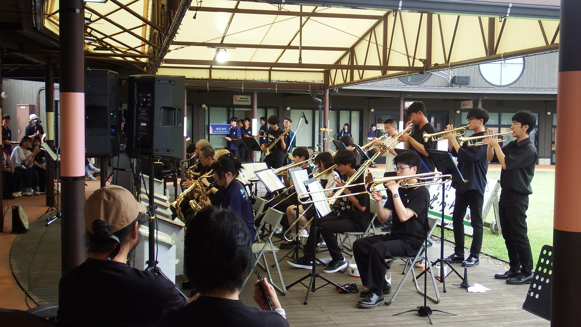 チリングキャッツ写真2 チリングキャッツ写真2