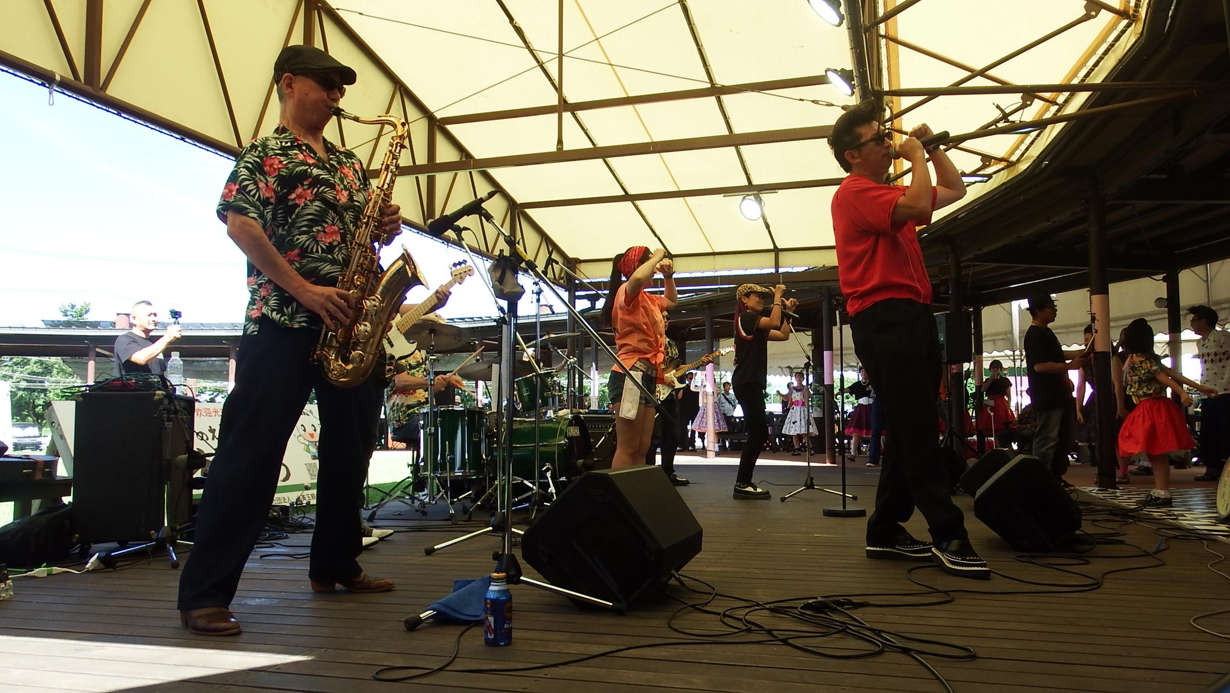 ハリーウッドペッカー写真1 ハリーウッドペッカー写真1