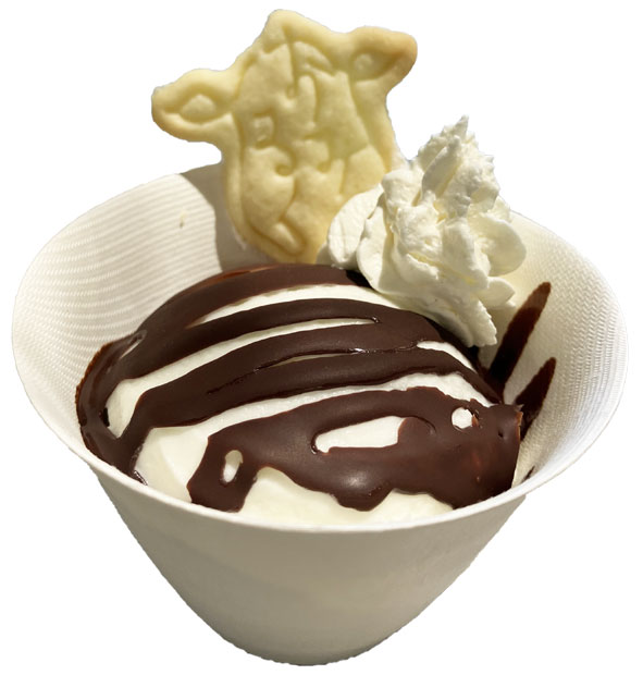 シングルアイスパリパリチョコソースがけ シングルアイスパリパリチョコソースがけ