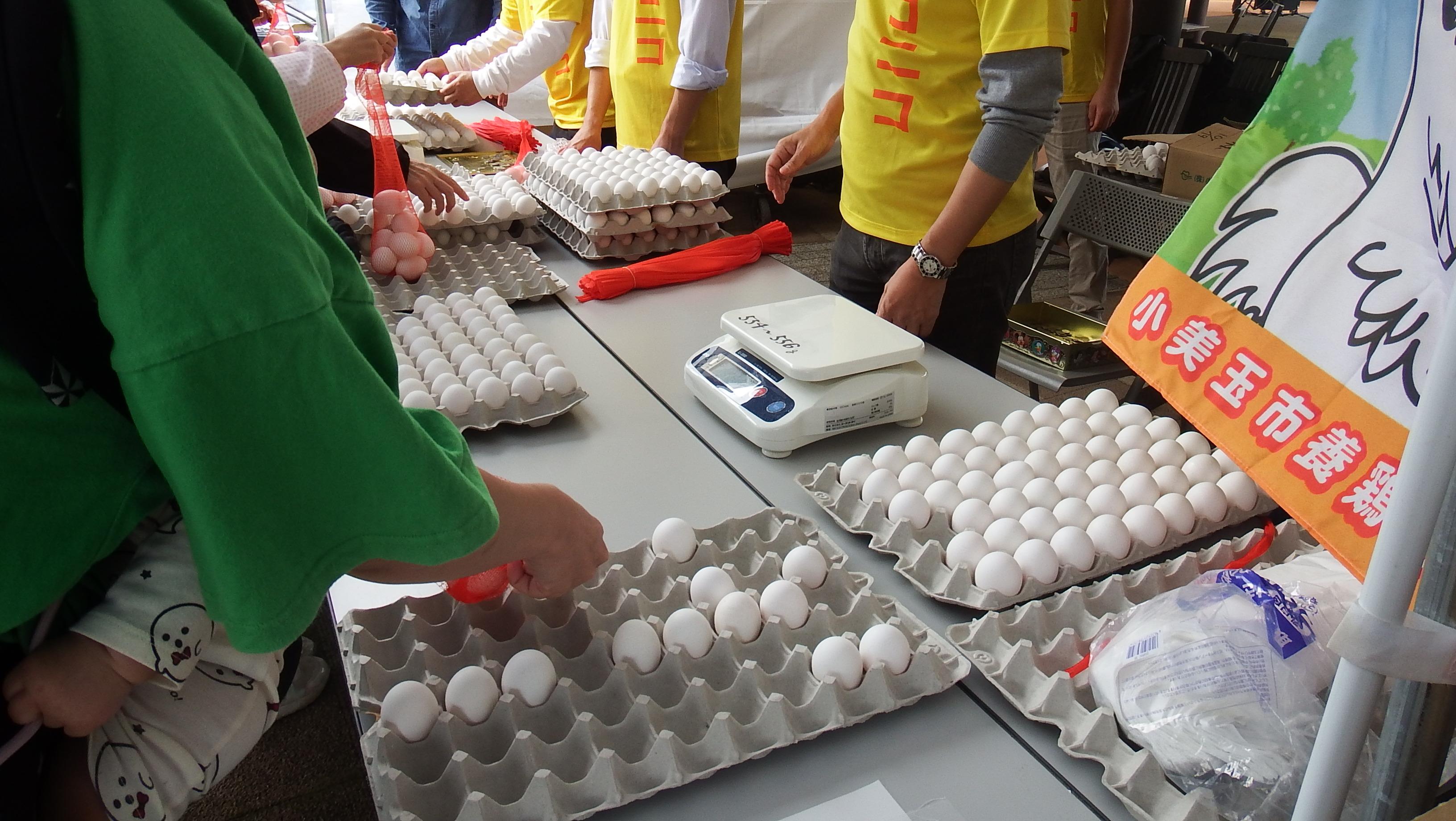 畜産まつり写真1