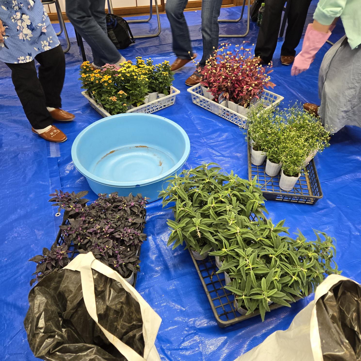 寄せ植え作品例1 寄せ植え作品例1