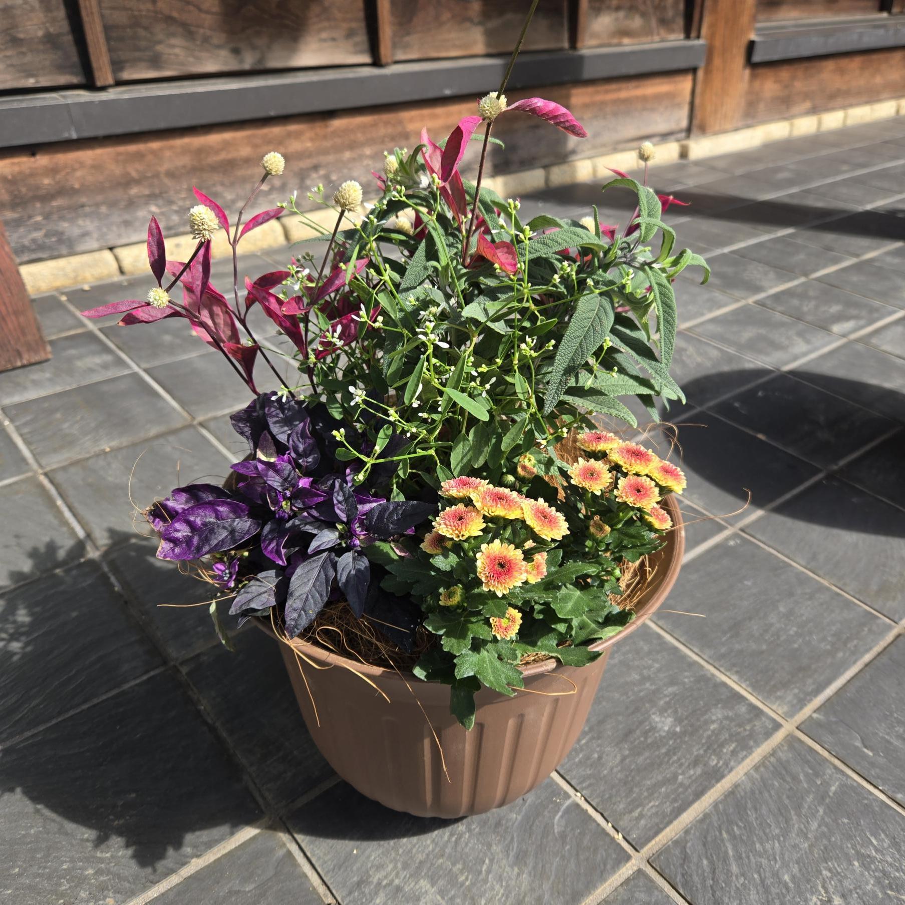 寄せ植え作品例2 寄せ植え作品例2