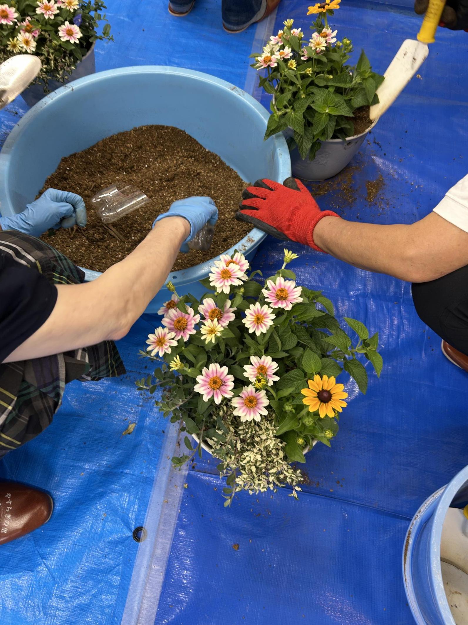 IMG_2044 寄せ植え作品例3