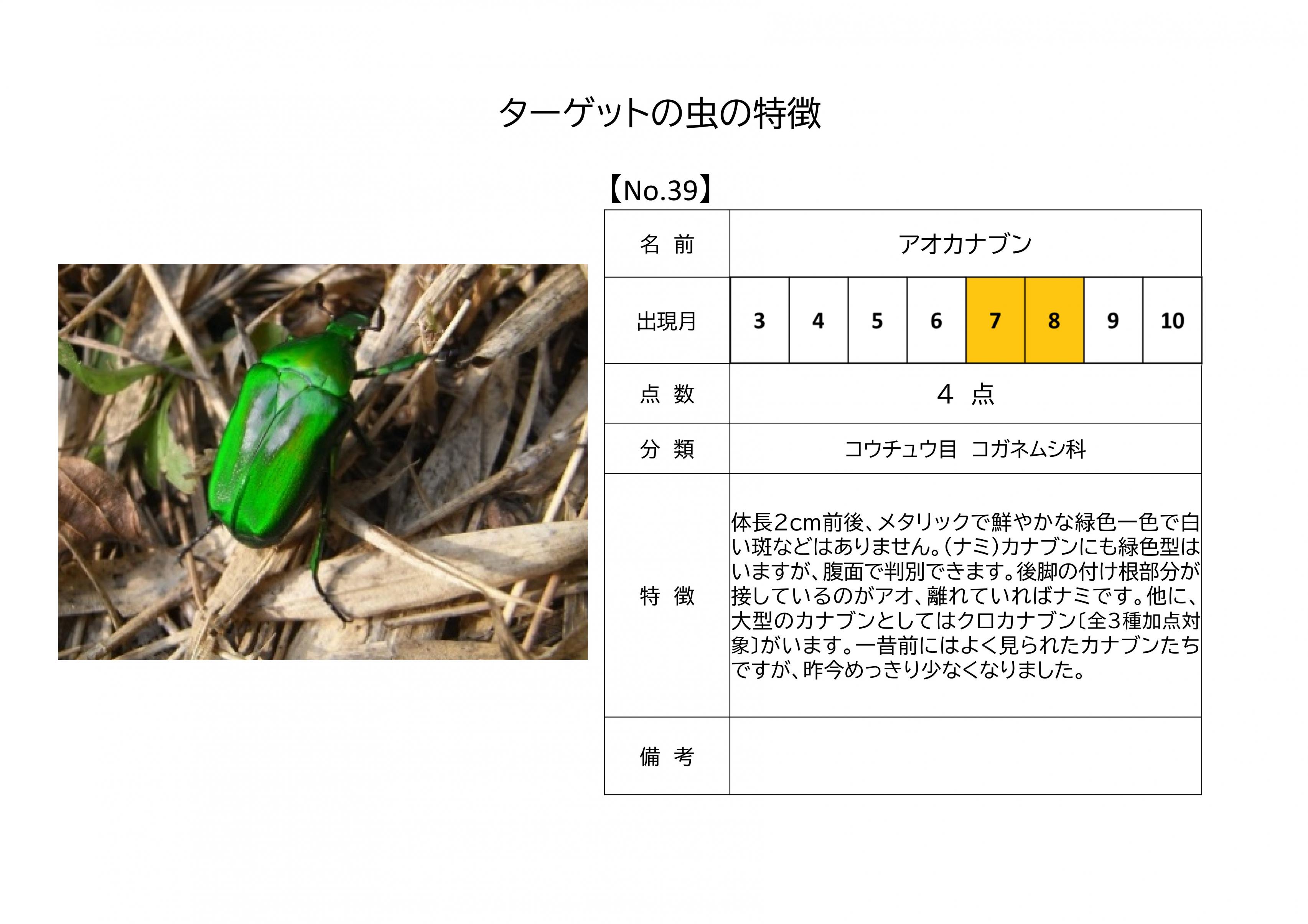 39.アオカナブン