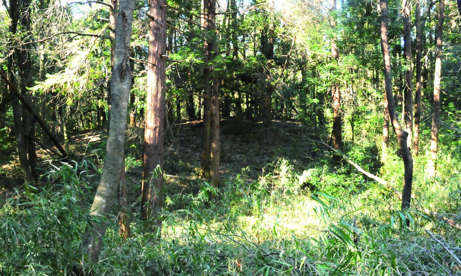 80愛宕山古墳 80愛宕山古墳