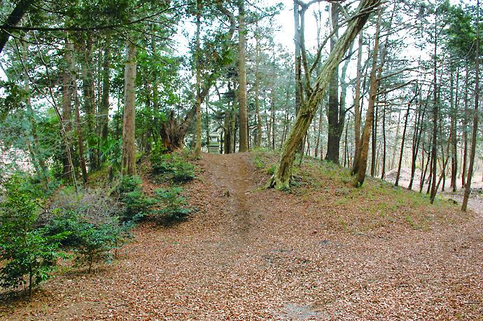 83稲荷山遺跡 83稲荷山遺跡
