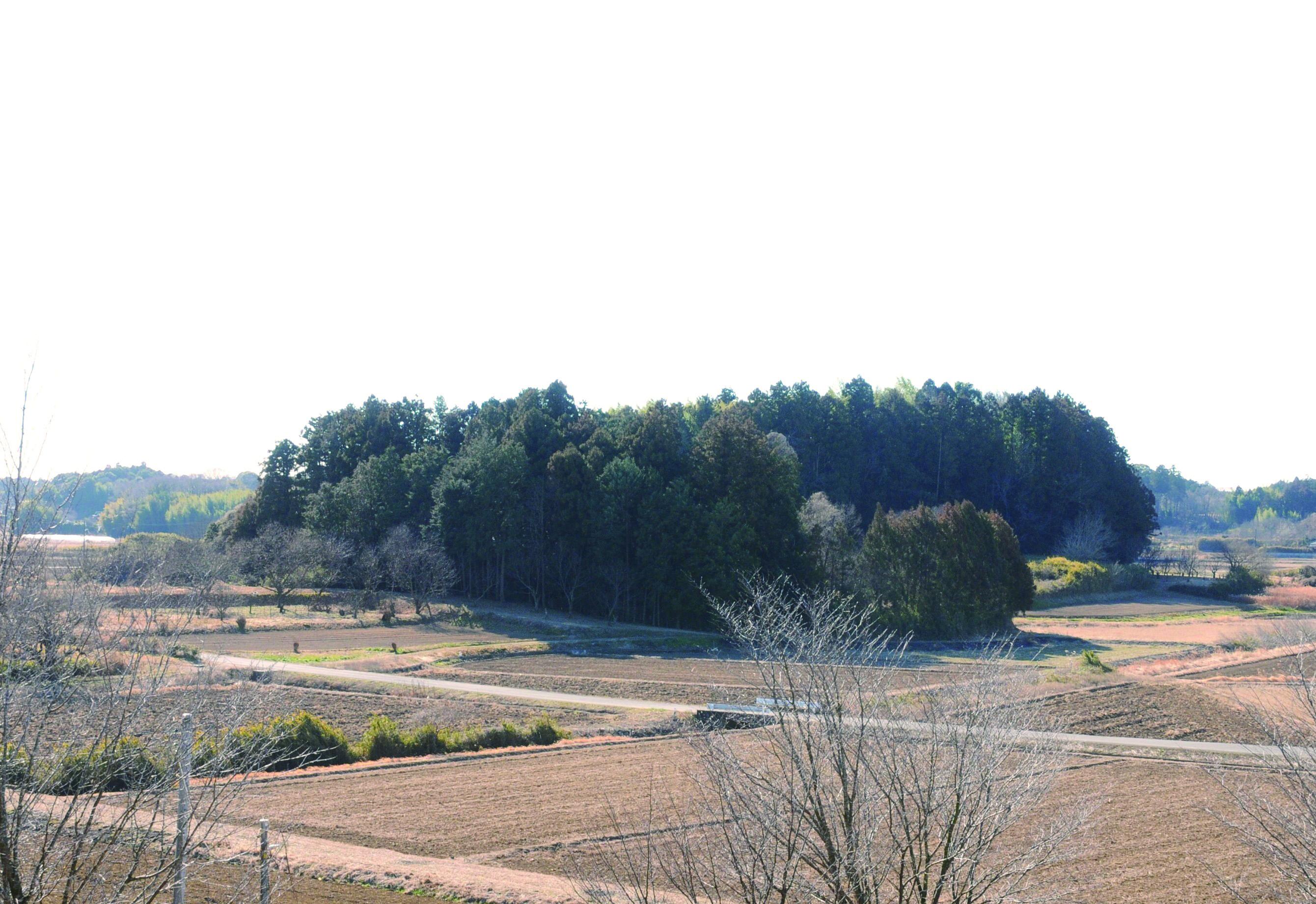 97竹原城跡 97竹原城跡