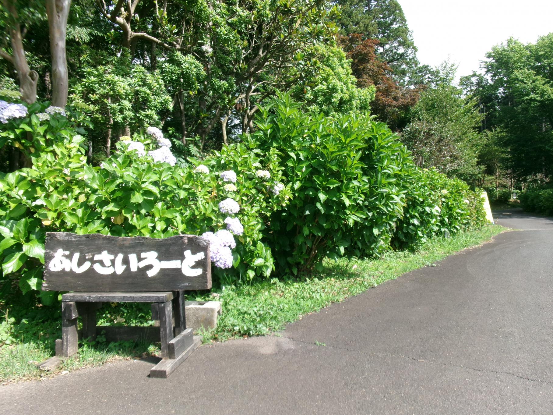 あじさいろーど