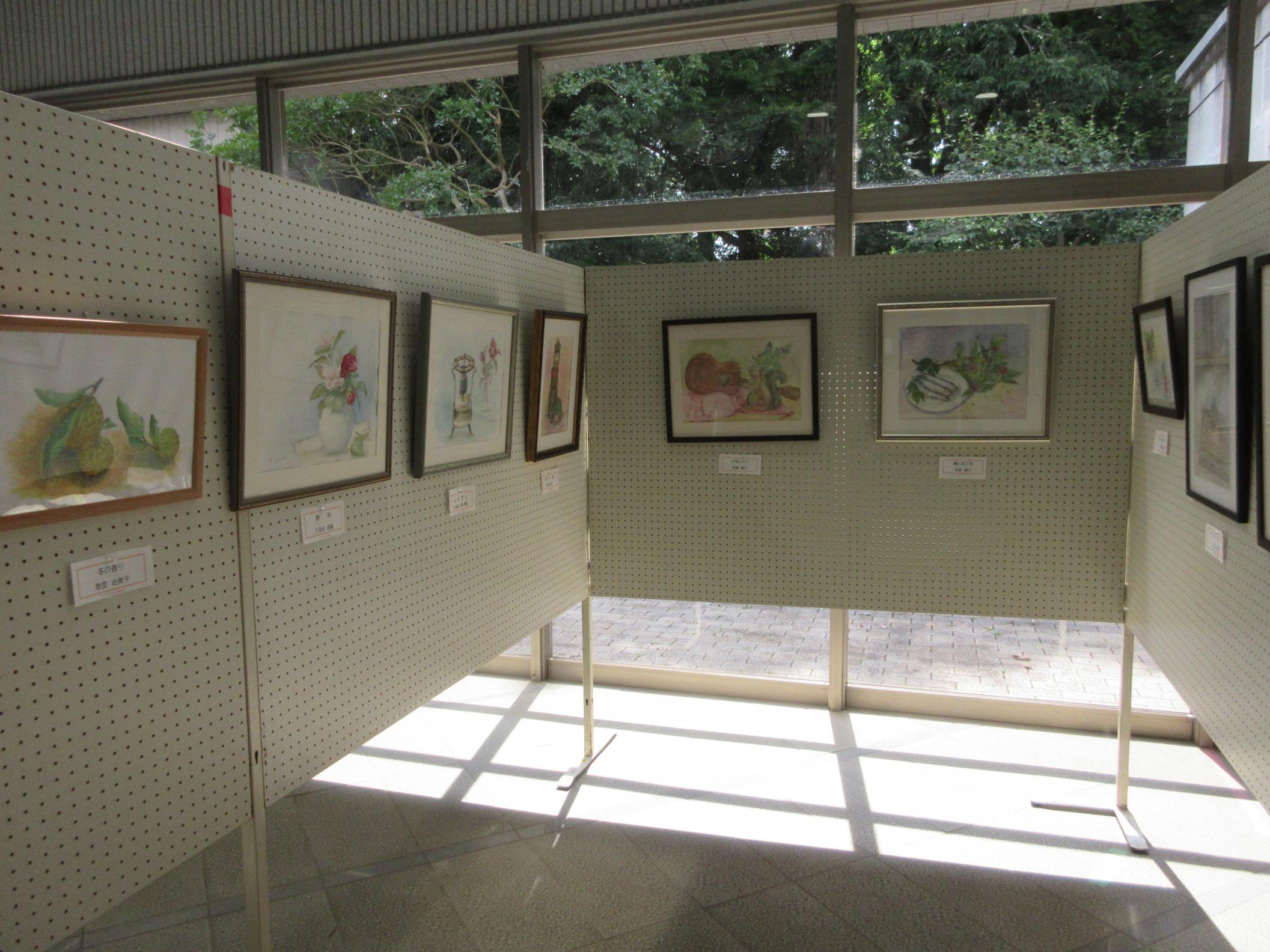水彩画の展示