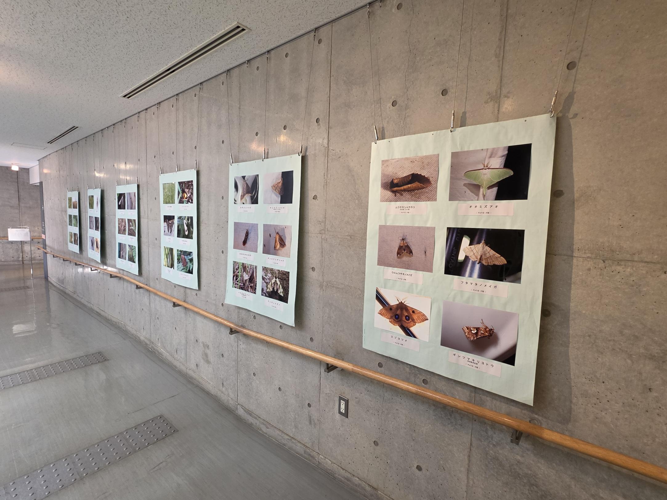 生物の会展示様子2
